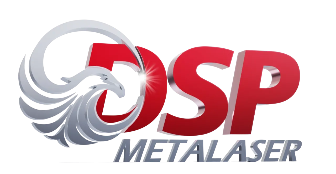 DSP METALASER - Pintor Electrostático Sas