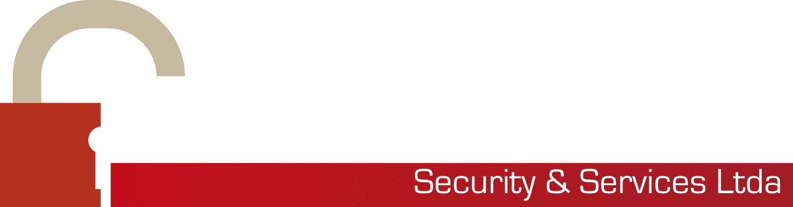 Precision Security & Services Ltda