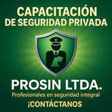 Prosin Ltda