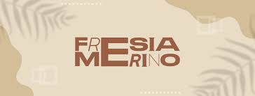 Fresia Merino Decoración
