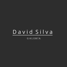 David Silva Galería