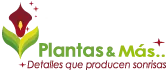 Plantas & Más