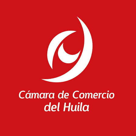 Syste Cámaras