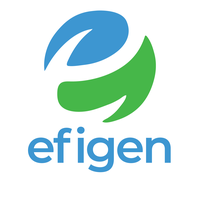 Efigen | Energy Experts