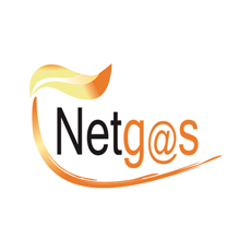 Calentadores a Gas | Netgas | Fugas de Gas