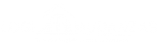 Trasteos Medellín | Mudanzas Medellín