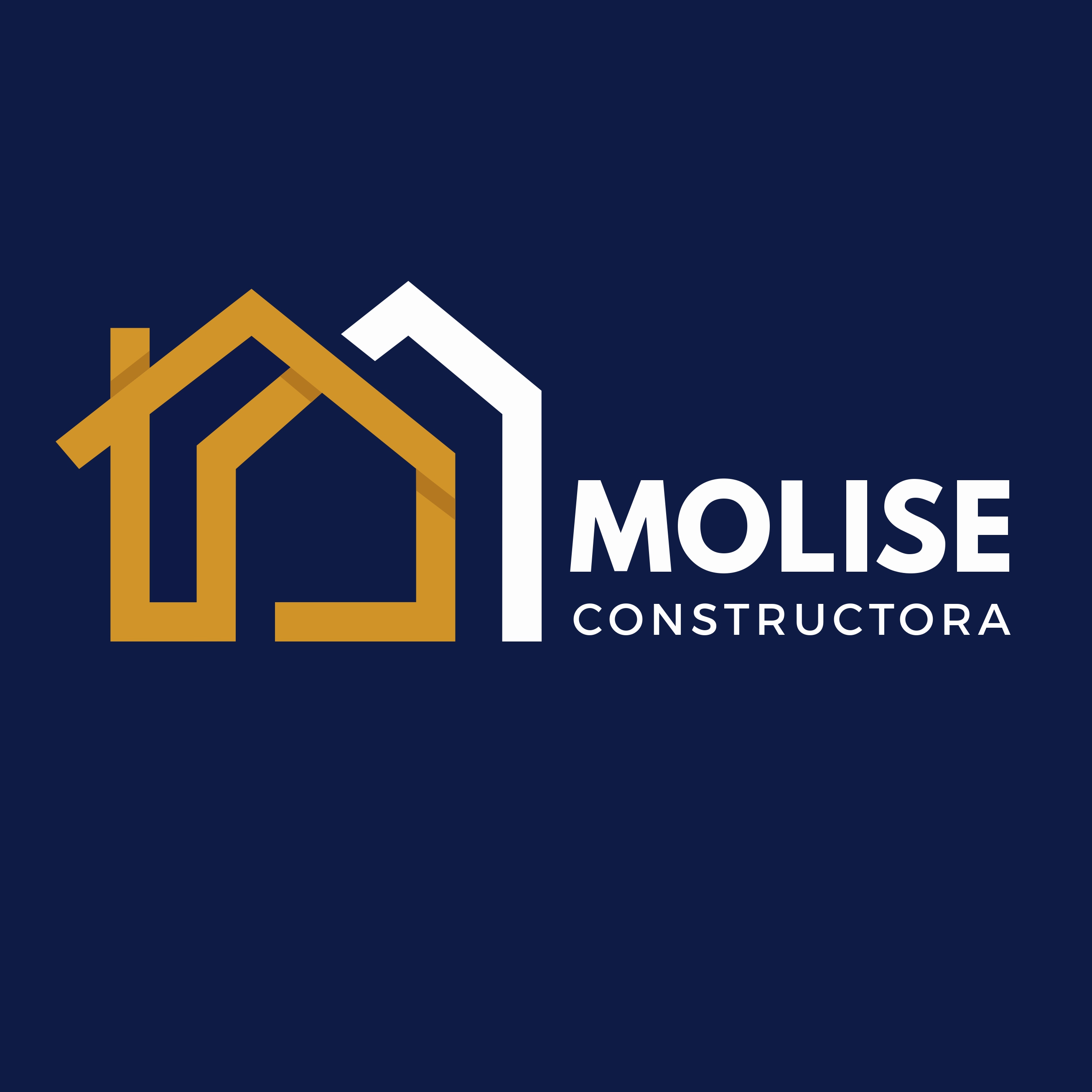 Constructora Molise SAS